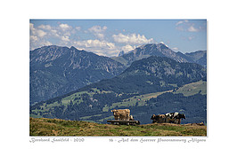 Bernhard Saalfeld - 16 - Auf dem Hoerner Panoramaweg Allgaeu_800